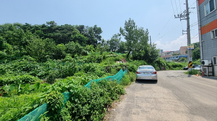 대구광역시 북구 복현동 산12 임야 경매 사진 3