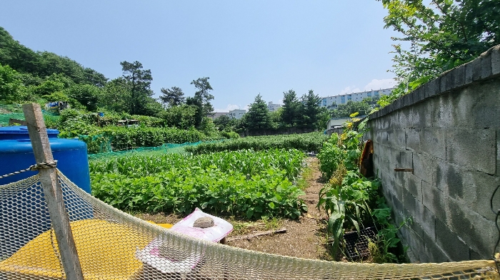 대구광역시 북구 복현동 산12 임야 경매 사진 4