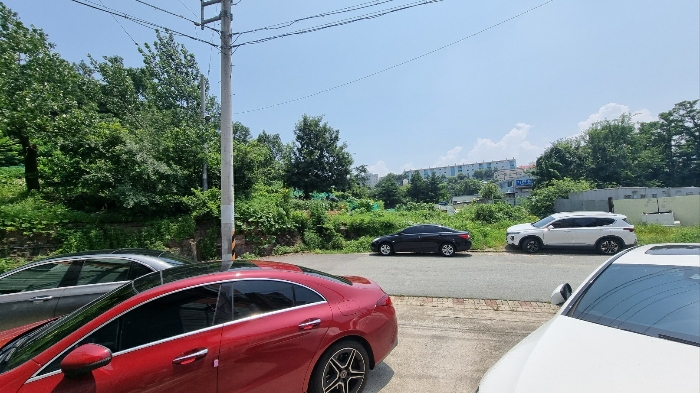 대구광역시 북구 복현동 산12 임야 경매 사진 5