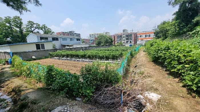대구광역시 북구 복현동 산12 임야 경매 사진 8