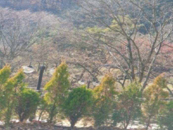 경기도 광주시 곤지암읍 장심리 6-1 주택 경매 사진 20