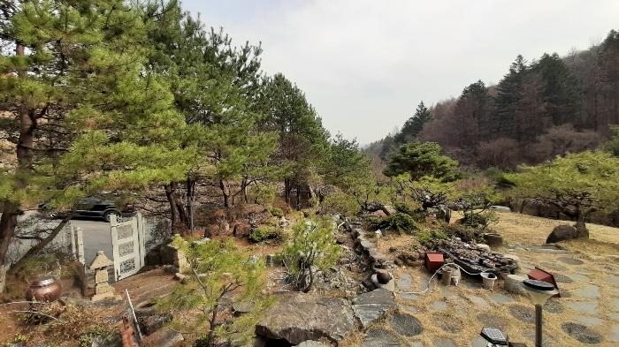 경기도 광주시 곤지암읍 장심리 6-1 주택 경매 사진 8