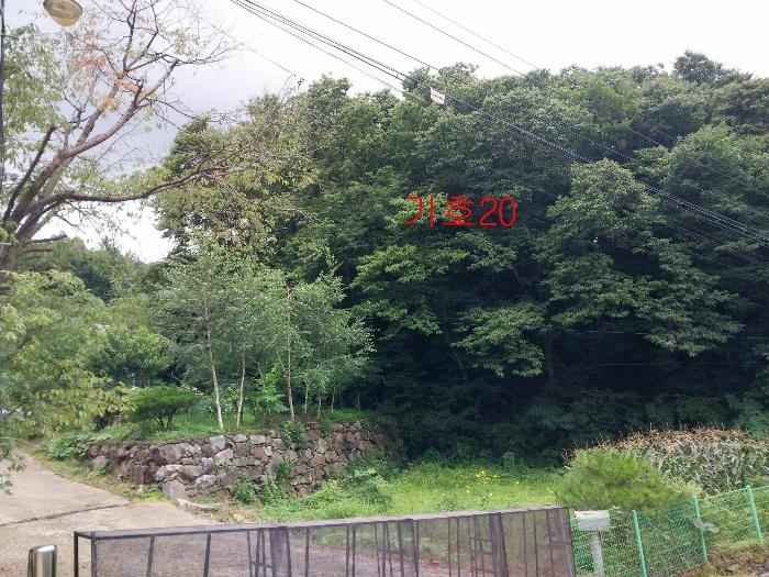 경기도 광주시 퇴촌면 관음리 82-20 임야 경매 사진 14