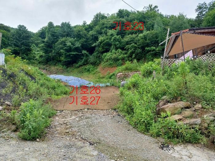 경기도 광주시 퇴촌면 관음리 82-20 임야 경매 사진 15