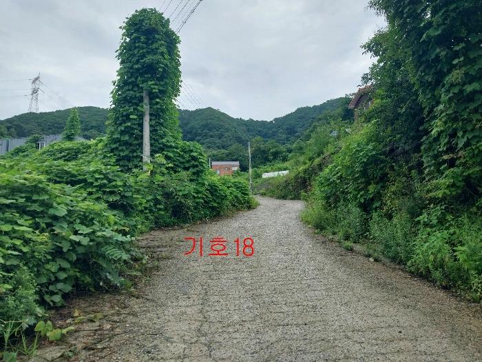 경기도 광주시 퇴촌면 관음리 82-20 임야 경매 사진 2