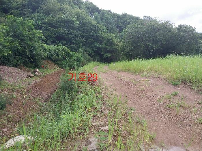 경기도 광주시 퇴촌면 관음리 82-20 임야 경매 사진 20