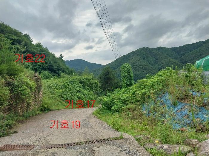 경기도 광주시 퇴촌면 관음리 82-20 임야 경매 사진 22