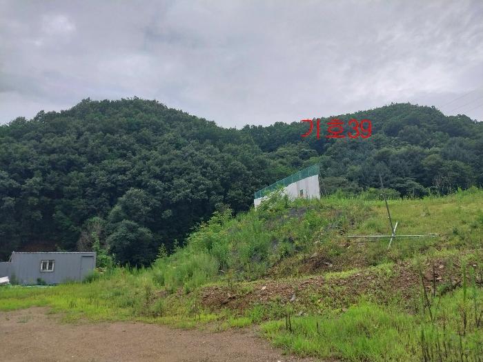 경기도 광주시 퇴촌면 관음리 82-20 임야 경매 사진 8