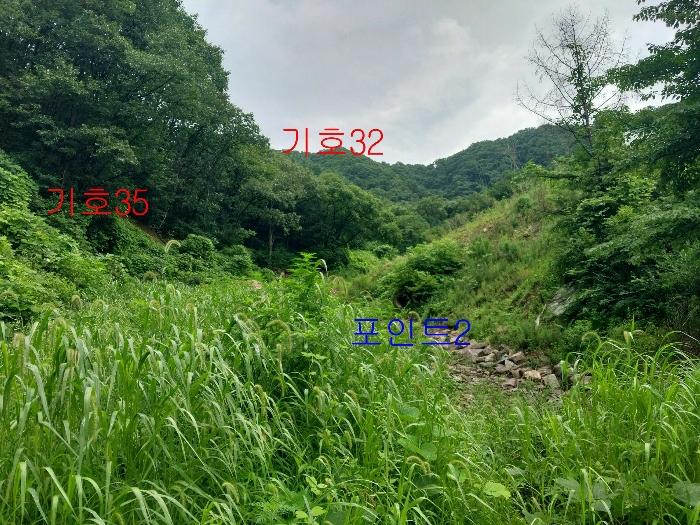경기도 광주시 퇴촌면 관음리 82-20 임야 경매 사진 9