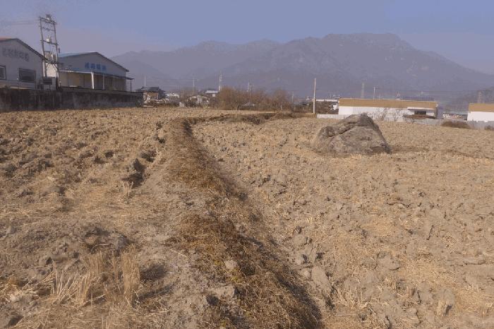 경상북도 칠곡군 북삼읍 보손리 627 답 경매 사진 18