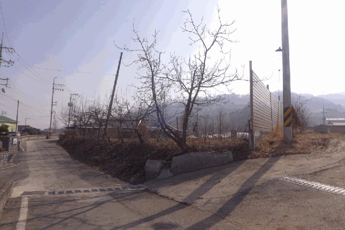 경상북도 칠곡군 북삼읍 보손리 627 답 경매 사진 7