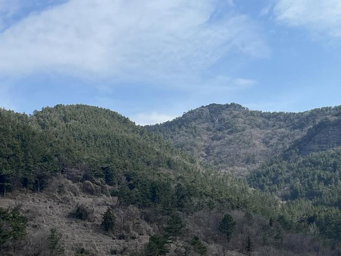 경상남도 남해군 남면 상가리 274 전 경매 사진 3