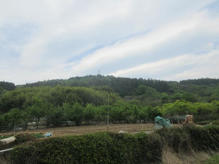 전남 여수시 답