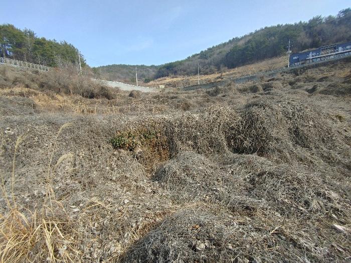경상남도 통영시 산양읍 연화리 159 축사(농가시설) 경매 사진 5