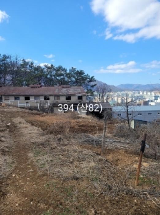 부산광역시 기장군 정관읍 달산리 산82 축사(농가시설) 경매 사진 21
