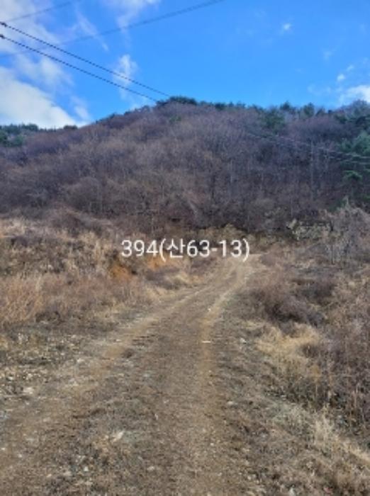 부산광역시 기장군 정관읍 달산리 산82 축사(농가시설) 경매 사진 23