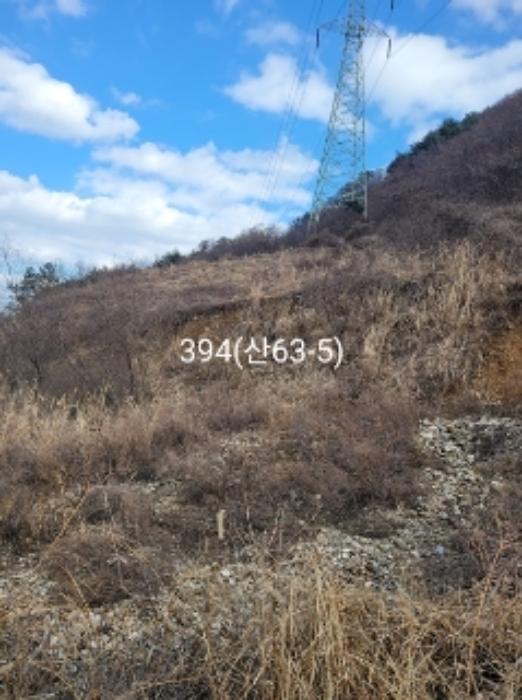 부산광역시 기장군 정관읍 달산리 산82 축사(농가시설) 경매 사진 24