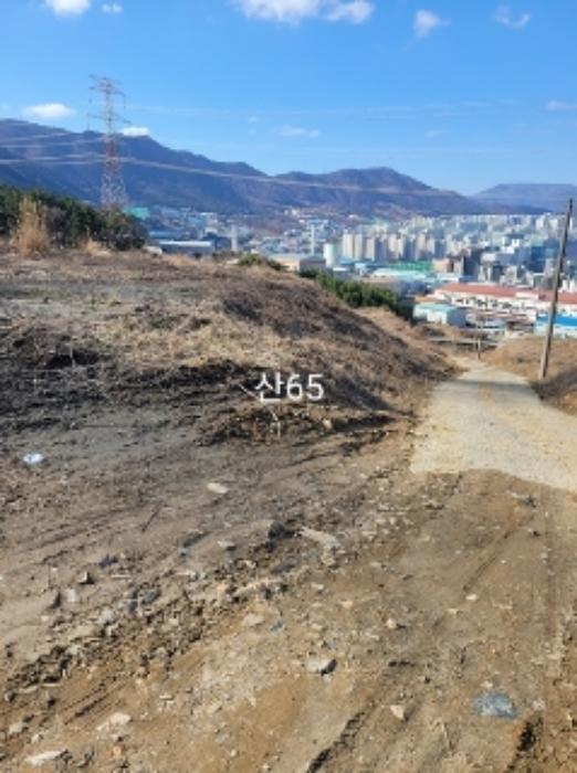 부산광역시 기장군 정관읍 달산리 산82 축사(농가시설) 경매 사진 29