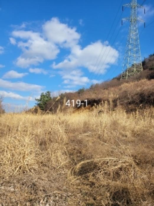 부산광역시 기장군 정관읍 달산리 산82 축사(농가시설) 경매 사진 30
