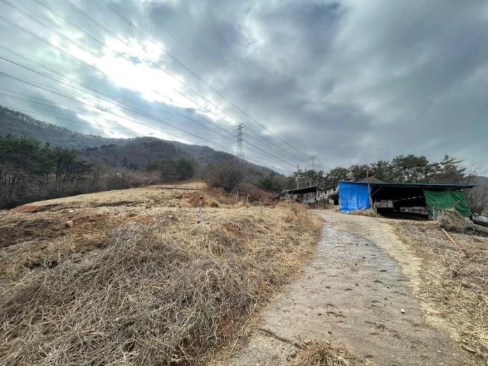 부산광역시 기장군 정관읍 달산리 산82 축사(농가시설) 경매 사진 5