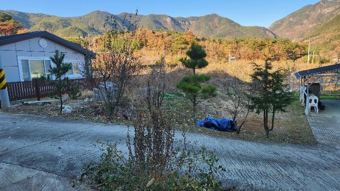 경상남도 밀양시 산내면 봉의리 408-5 답 경매 사진 6