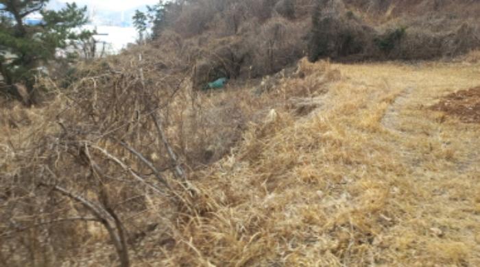 경상남도 거제시 옥포동 98-7 전 경매 사진 5