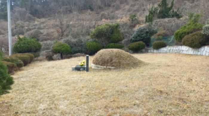 경상남도 거제시 옥포동 98-7 전 경매 사진 7