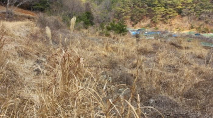 경상남도 거제시 옥포동 98-7 전 경매 사진 9