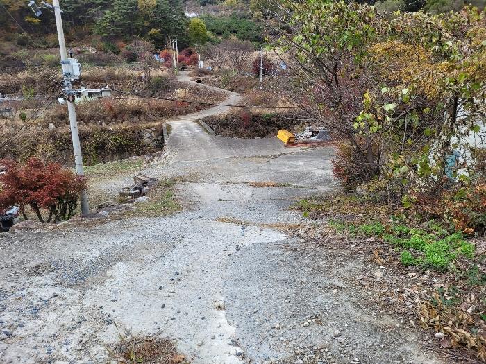경상남도 밀양시 삼랑진읍 행곡리 산163 임야 경매 사진 10