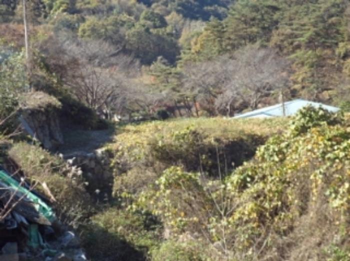 경상남도 밀양시 삼랑진읍 행곡리 산163 임야 경매 사진 27
