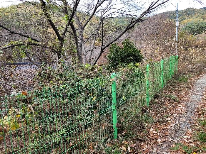 경상남도 밀양시 삼랑진읍 행곡리 산163 임야 경매 사진 3