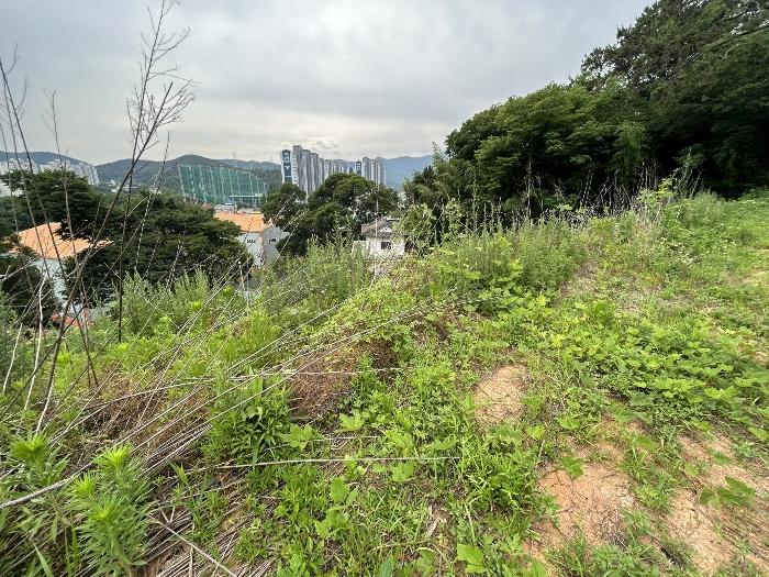 경상남도 창원시 진해구 마천동 47-1 전 경매 사진 6