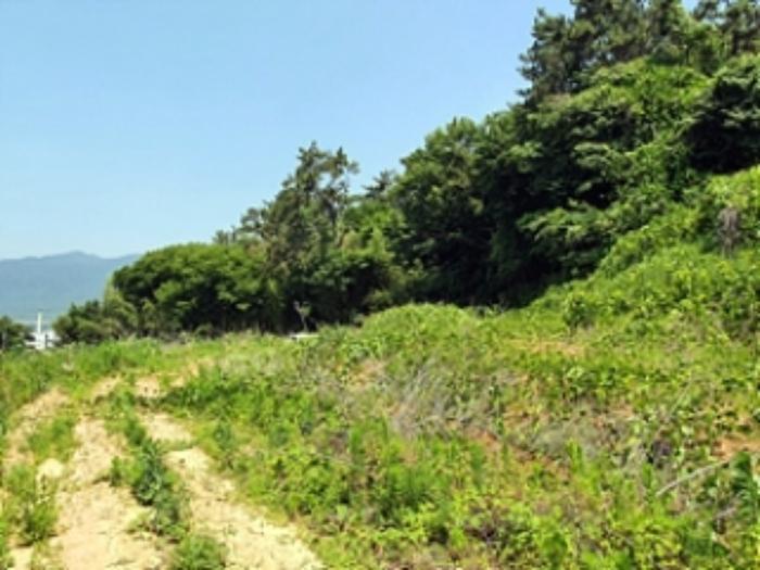 경상남도 창원시 진해구 마천동 47-1 전 경매 사진 9