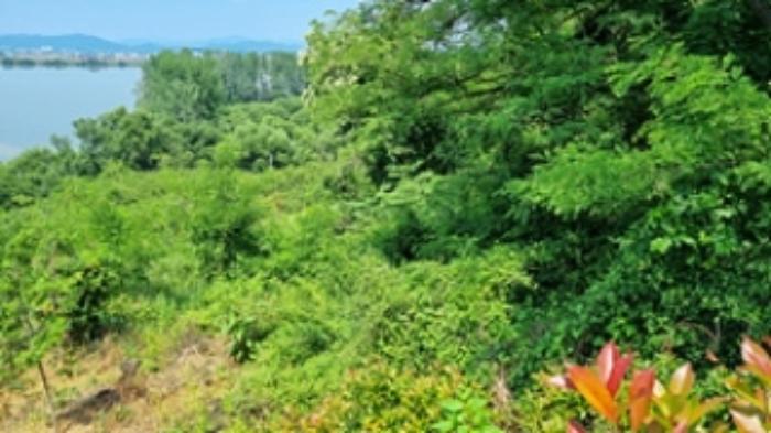 경상남도 창원시 의창구 동읍 월잠리 341 전 경매 사진 17