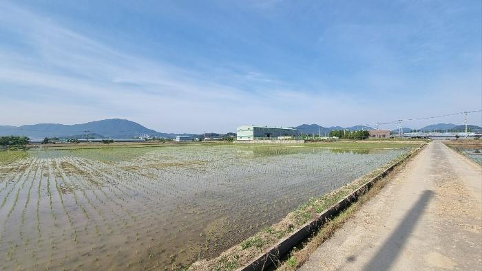 경상남도 창원시 의창구 동읍 월잠리 341 전 경매 사진 4