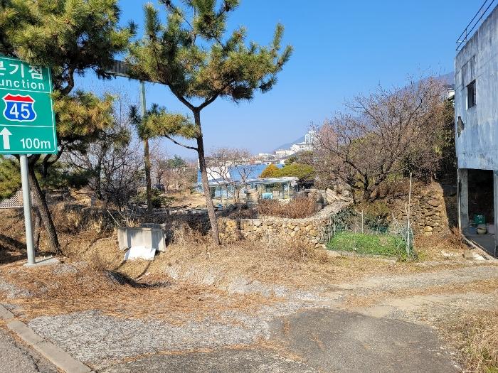 경상남도 창녕군 영산면 동리 227 답 경매 사진 1