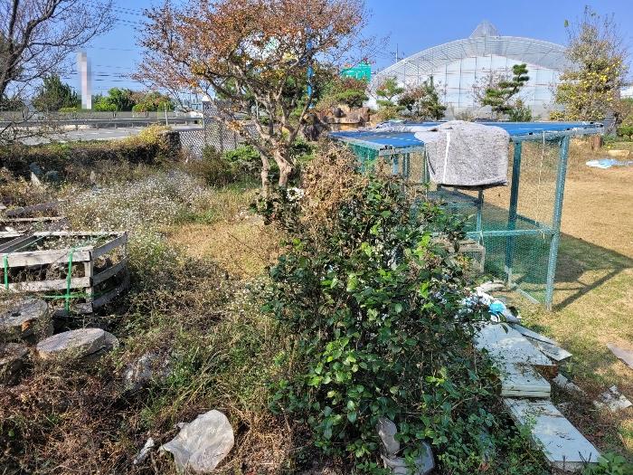 경상남도 창녕군 영산면 동리 227 답 경매 사진 2