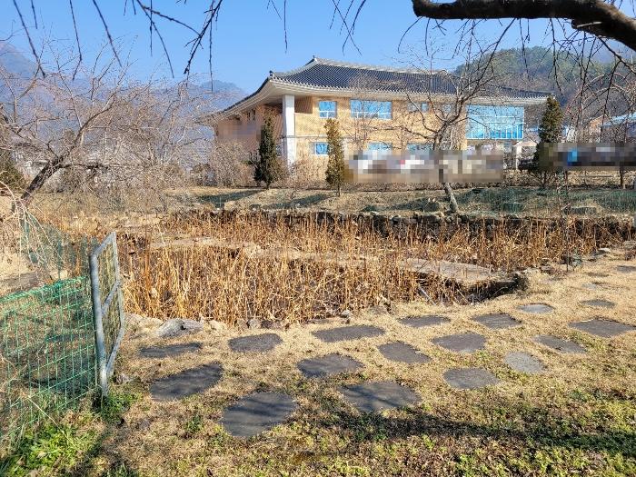 경상남도 창녕군 영산면 동리 227 답 경매 사진 20
