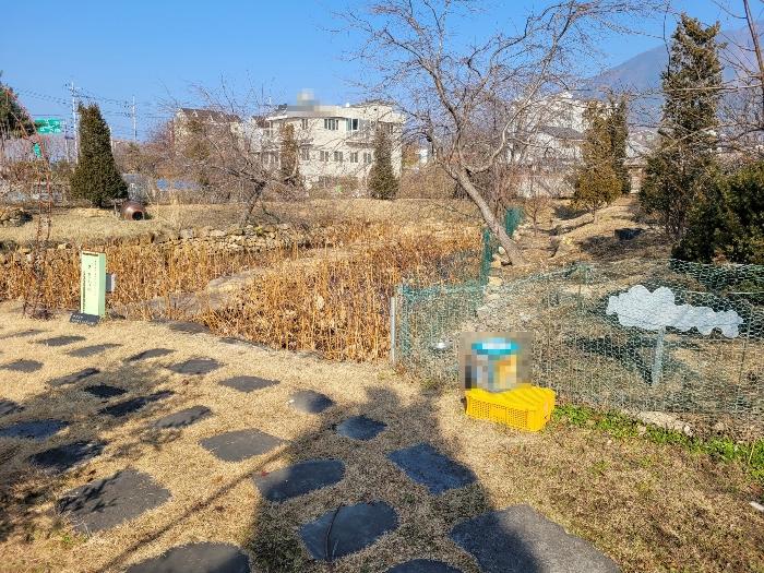 경상남도 창녕군 영산면 동리 227 답 경매 사진 21