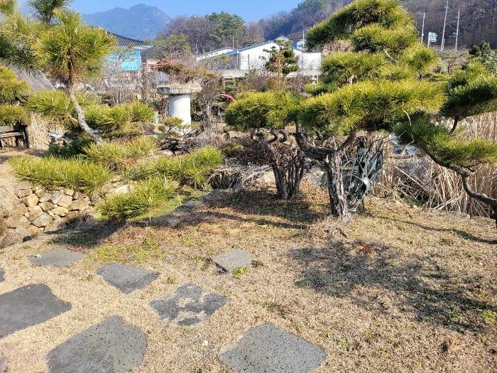 경상남도 창녕군 영산면 동리 227 답 경매 사진 29