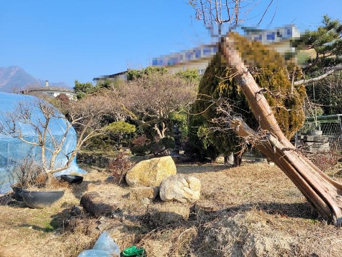 경상남도 창녕군 영산면 동리 227 답 경매 사진 35