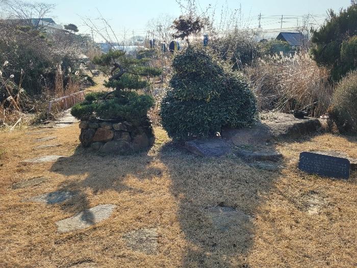경상남도 창녕군 영산면 동리 227 답 경매 사진 47