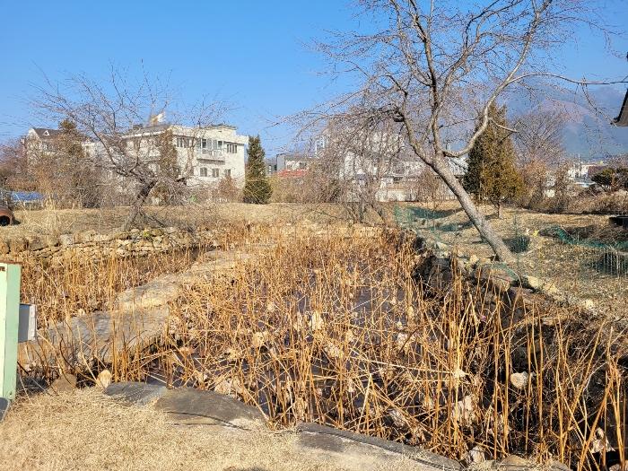 경상남도 창녕군 영산면 동리 227 답 경매 사진 49