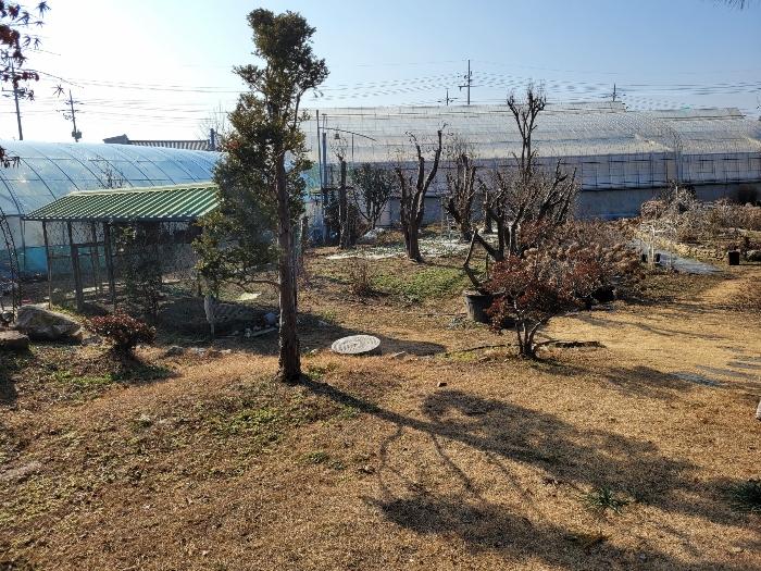 경상남도 창녕군 영산면 동리 227 답 경매 사진 5