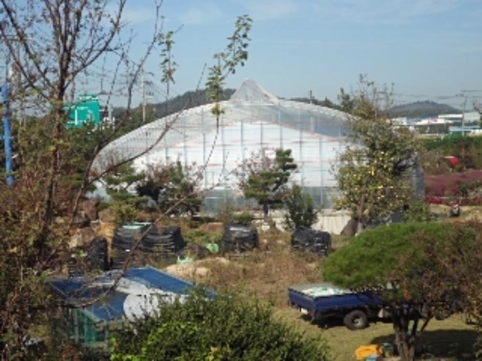 경상남도 창녕군 영산면 동리 227 답 경매 사진 59