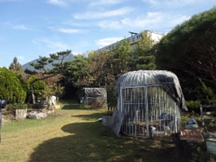 경상남도 창녕군 영산면 동리 227 답 경매 사진 63