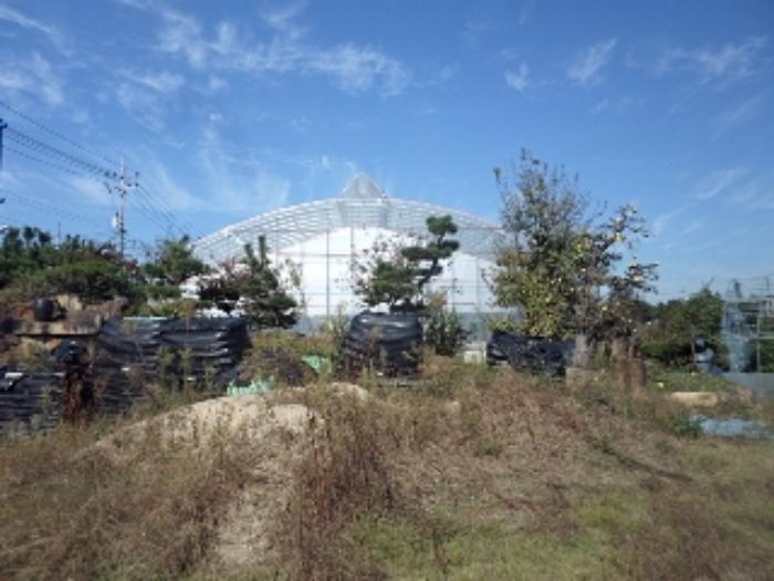 경상남도 창녕군 영산면 동리 227 답 경매 사진 64