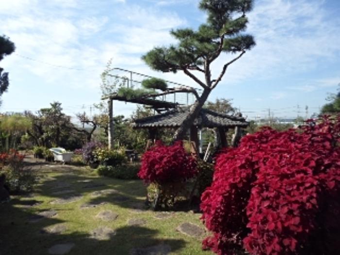 경상남도 창녕군 영산면 동리 227 답 경매 사진 69