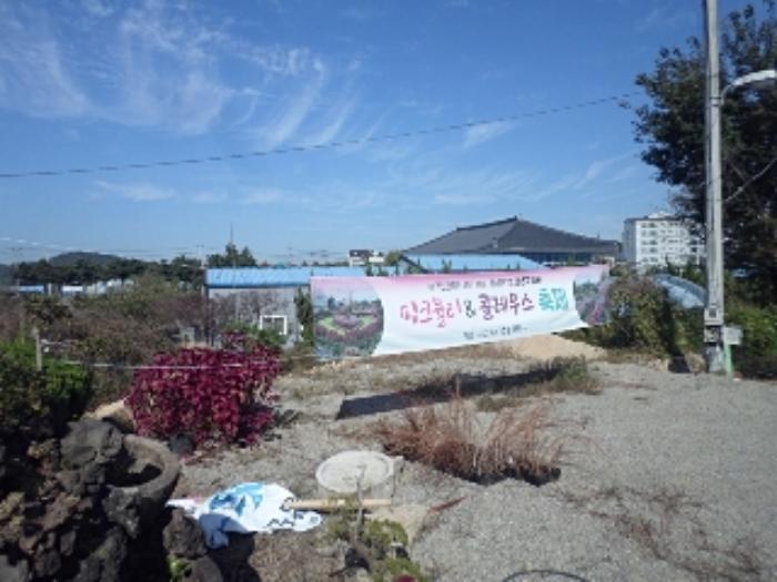 경상남도 창녕군 영산면 동리 227 답 경매 사진 70