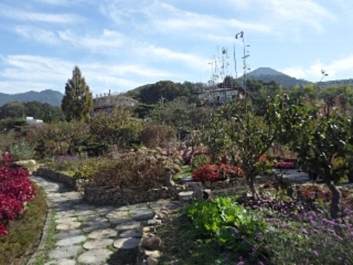경상남도 창녕군 영산면 동리 227 답 경매 사진 81